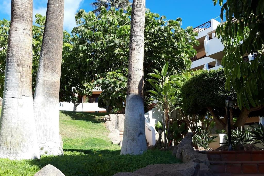 Apartment With Pool And Gardens Near The Coast San Miguel de Abona Extérieur photo